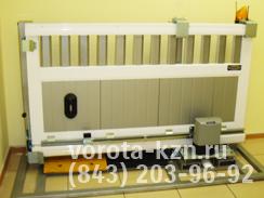 Дорхан (DoorHan) Казань