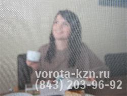 роллеты со встроенной антимоскитной системой
